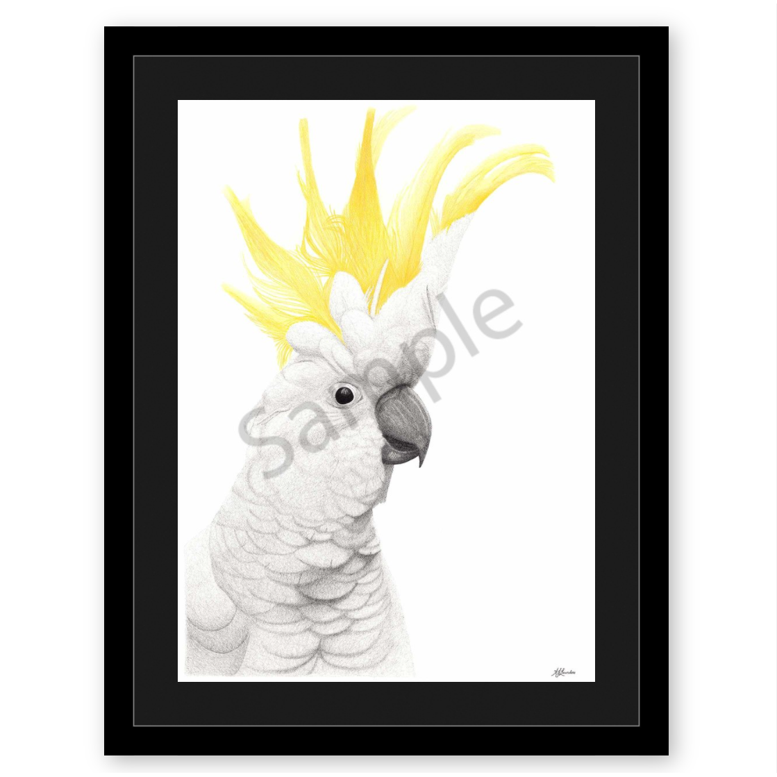 Framing - Wide Black Frame + Black Mat