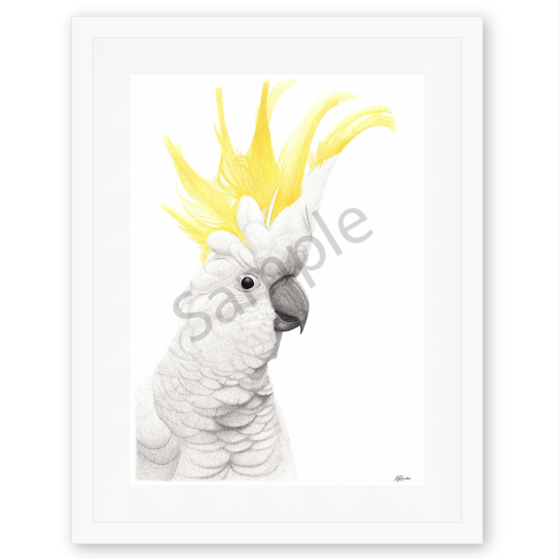 Framing - Wide White Frame + White Mat