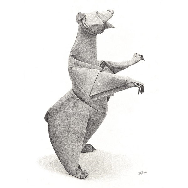 Grizzly  -  57 cm x 77 cm